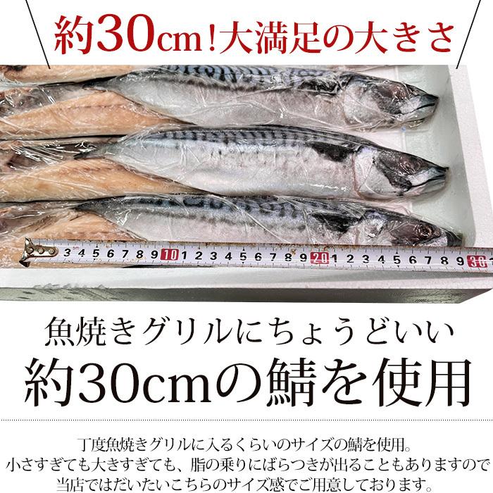 干物 天然真サバの文化干し 8枚セット（約30cm 1枚）