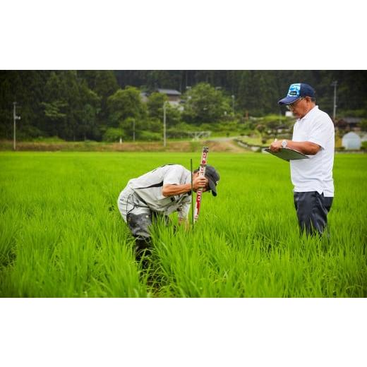 ふるさと納税 新潟県 柏崎市 徳永農園のコシヒカリ 無洗米 真空パック 2kg（1kg×2袋）[A018]