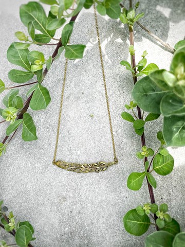 美國原住民在黃銅的羽毛項鍊。