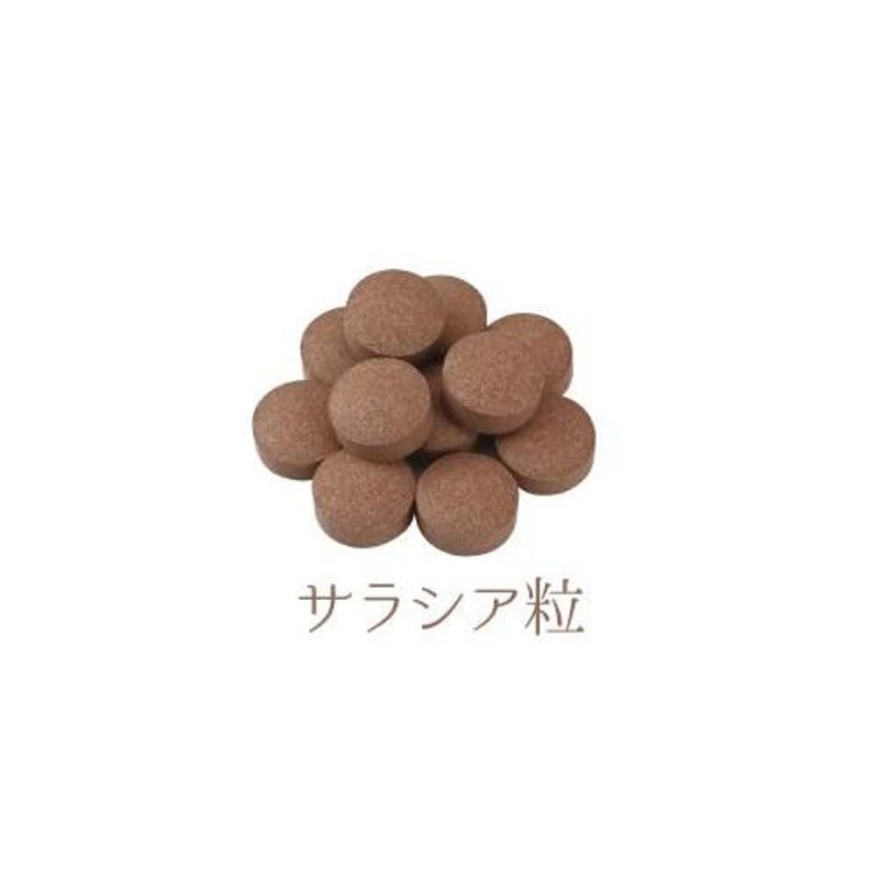 サラシア粒(インド産)【150g／約750粒×4個】 サラシア さらしあ