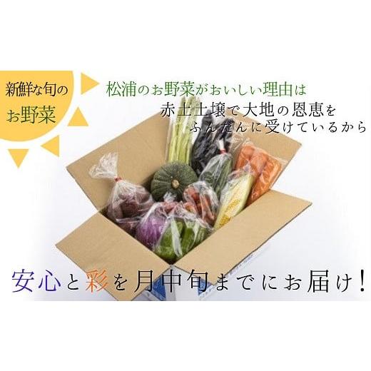 ふるさと納税 長崎県 松浦市 米5kgと卵20個付き！野菜の詰め合わせ定期便10回(中旬) 米 ご飯 お米 白米 5キロ 卵 たまご タマゴ 野菜 詰…