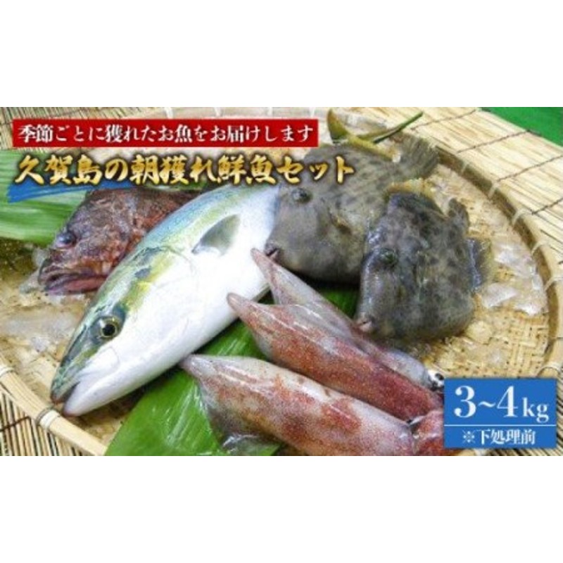 海鮮の宝庫！五島産調理しやすい魚の切り身】 朝獲れ旬の鮮魚セット 3 ...