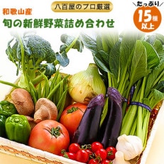 旬の新鮮野菜セットたっぷり15種以上