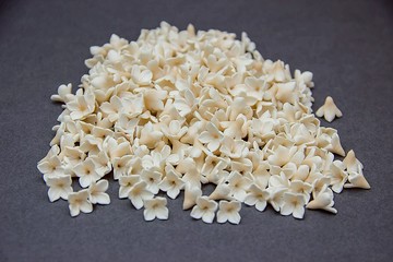 白色/米色花珠 10-12 毫米，米色內，白色邊緣