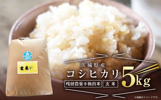 茨城県産 コシヒカリ 5kg 令和5年産 単一原料米 米 お米 おこめ ごはん 残留農薬不検出 無農薬 ブランド米 国産 常温 守谷市