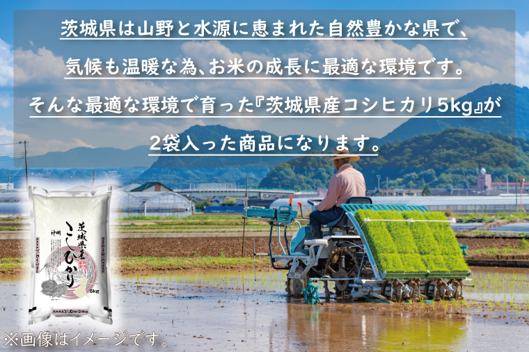  令和5年産 新米 茨城 コシヒカリ 10kg (5kg×2袋) ×6カ月 米 お米 おこめ 白米 ライス ご飯 精米 こしひかり 国産 茨城県産 定期便