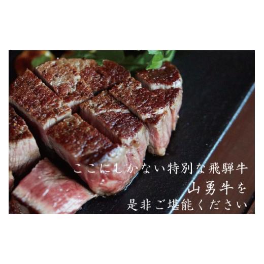 ふるさと納税 岐阜県 飛騨市 飛騨牛 サーロインステーキ 250g×2枚 合計500g 牛肉 和牛