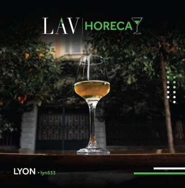 土耳其LAV HORECA 里昂細緻紅酒杯-330cc