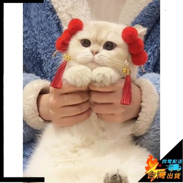 【台灣出貨】寵物新年髮夾 貓貓髮夾 狗髮夾 寵物新年紅色側邊髮夾 過年裝飾 可愛狗狗頭飾品