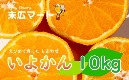  伊予柑 いよかん 約 10kg 愛媛 興居島 柑橘 糖度 別名 宮内伊予柑