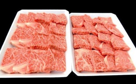 牛肉 焼肉用 800g 霜降り 特選 リブロース 土佐黒毛和牛 Ａ５～Ａ４ 等級 冷凍 高知県 須崎市