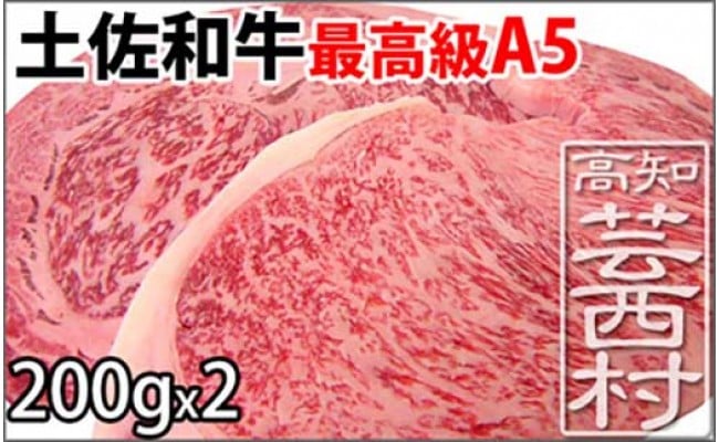 　土佐和牛A5特選サーロイン＆リブロースステーキ200g×2枚セット 牛肉＜高知市共通返礼品＞