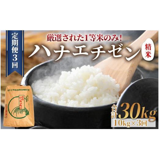 ふるさと納税 福井県 あわら市 令和5年産 ＜定期便3回＞ ハナエチゼン 精米 10kg×3回（30kg）《発送直前精米！》 ／ 福井県産 ブランド米 ご飯 白…