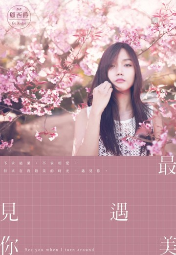 最美遇見你（全）[二手書_良好]