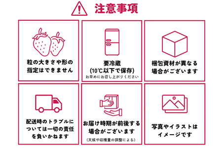 あまおうプレミアム約270g×4パック(農家直送) あまおう いちご 農家直送 フルーツ お取り寄せグルメ お取り寄せ 福岡 お土産 九州 福岡土産 取り寄せ グルメ 福岡県