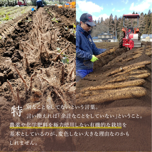 変色しない！ 土付き 長芋 10kg  ／ とろろ 山かけ