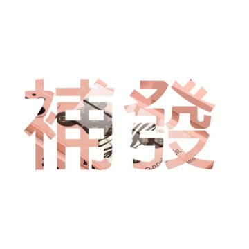 補發 換貨 專用  請勿直接下標