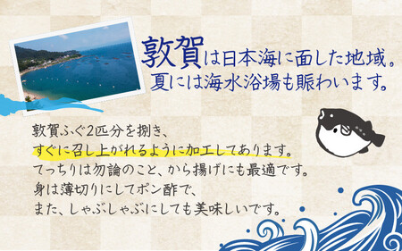 [041-b001] 敦賀ふぐ 調理済セット 2尾分（約1200g）てっちりやしゃぶしゃぶなどに