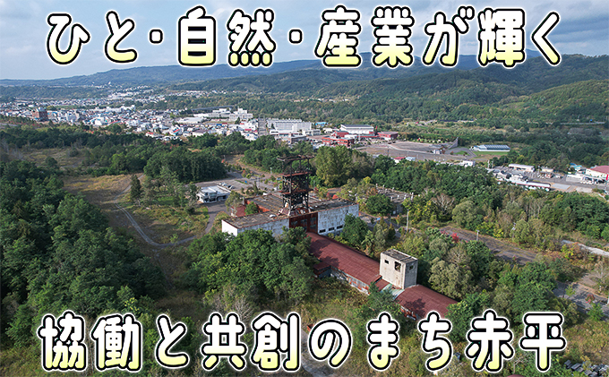 アスパラ 北海道 朝もぎ 春グリーンアスパラ 約1kg［ほりぐち農園］ ※2024年4月中旬出荷開始先行予約