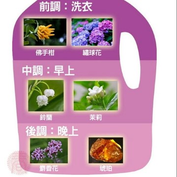 【衣桔棒】香水洗衣凝露 補充包1500g 香水洗衣精 手洗精 中性洗衣精 貼身衣物清潔