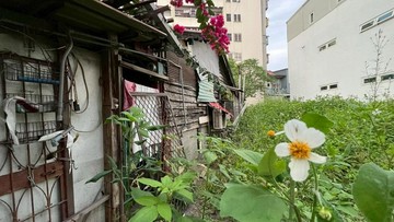 羅東鎮內走進木質時光在便利與靜謐之間｜宜蘭縣羅東鎮東光段