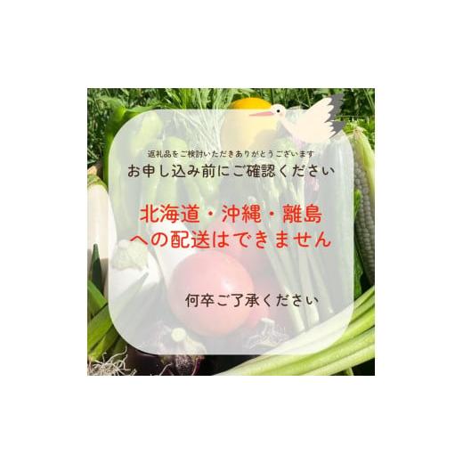 ふるさと納税 京都府 亀岡市 訳あり 新鮮 季節の野菜 セット 7〜10品目農家直送 朝採れ 亀岡 佐伯の里 京都丹波産 家計応援 生活応援