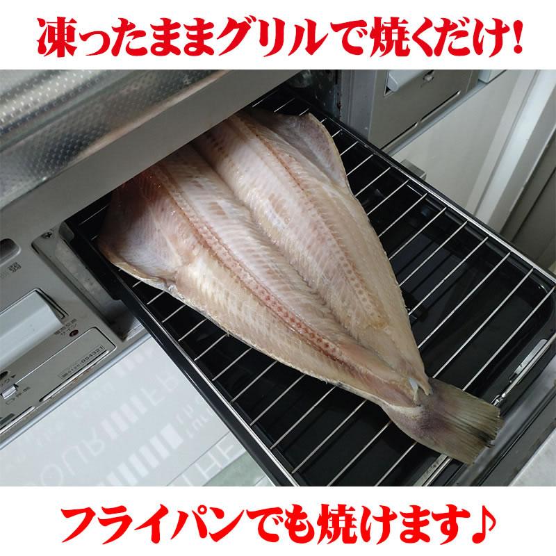 縞 ホッケ 干し 超特大 2枚セット 500-600ｇ程度×2枚入り 個別真空パック 送料無料 冷凍 ほっけ 開き縞ホッケ 干物 ギフト