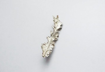 植物標本別針-蕨類