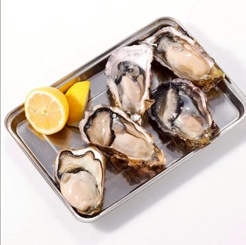【華得水產】日本原裝巨大生蠔/全殼牡蠣2包/4包/8包(500g 約2-3粒/包)-廠商直送