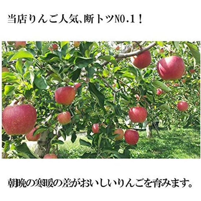 りんご 減農薬 小玉10キロ 長野県産