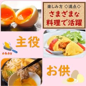 ふるさと納税 まるでサプリ！抗酸化でからだサビない・箱庭たまご「茜」9個 真岡市 栃木県 栃木県真岡市