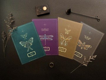 奇幻標本室系列 / 昆蟲明信片萬用卡(一套四張)