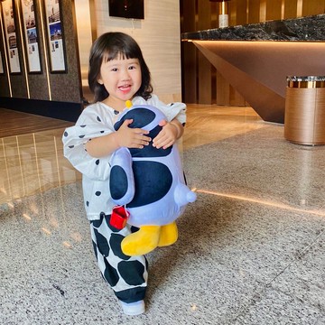 瑞穗天合國際觀光酒店 乳比布偶