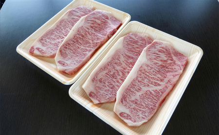 牛肉 飛騨牛 サーロイン ステーキ セット 1ｋｇ （ 1枚 約250ｇ × 4枚 ） 黒毛和牛 Ａ5 美味しい お肉 牛 肉 和牛 サーロインステーキ  