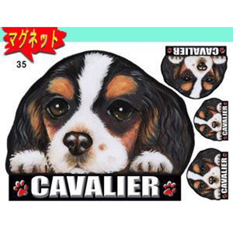 マグネット/犬ステッカー/キャバリア35/ネーム入れ不可/愛犬/雑貨/グッズ/車/犬雑貨 通販 LINEポイント最大1.0%GET |  LINEショッピング