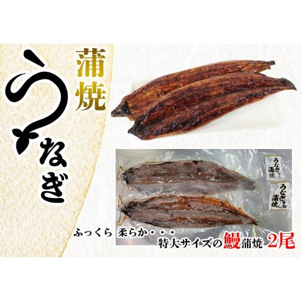 うなぎ蒲焼 鰻蒲焼 2尾 送料無料 特大サイズ 蒲焼 土用の丑の日 うなぎ ウナギ 鰻 中国産 メーカー直送 shr-021