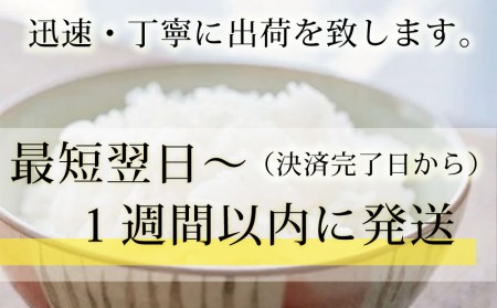  令和5年産北海道産ゆめぴりか30kg(5kg×6袋) 