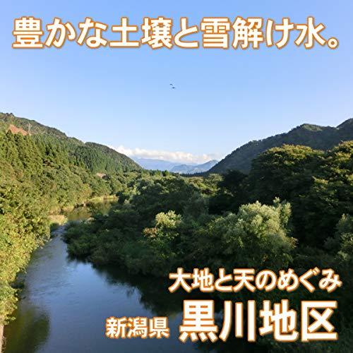 [精米] 高級銘柄米 黒川地区 棚田 新潟産コシヒカリ [3キロ] 令和4年度 新米