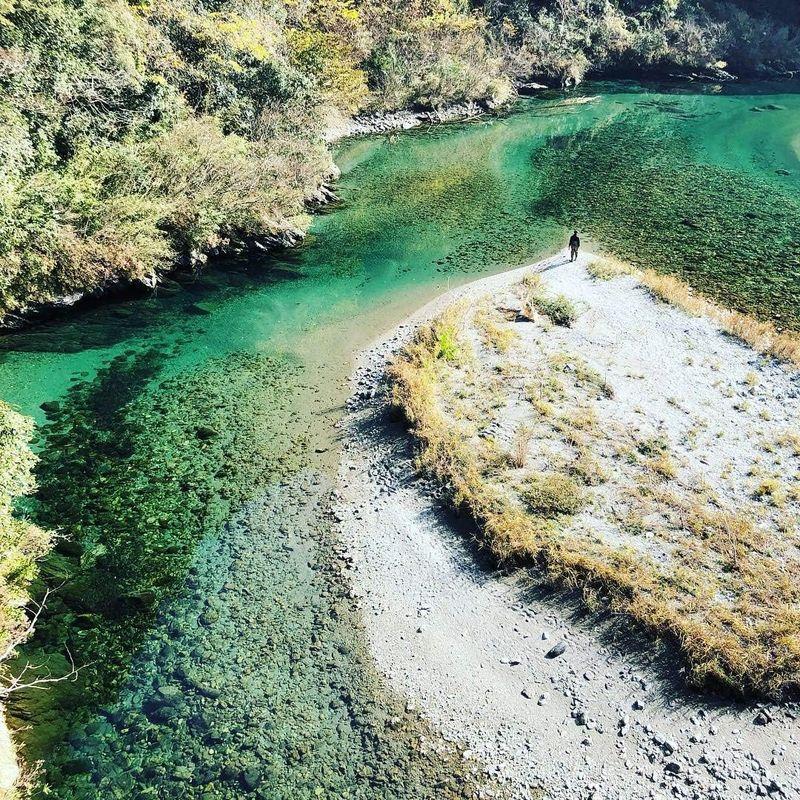 高知県産 仁淀川きくらげ 乾燥黒きくらげ ホールタイプ 100g