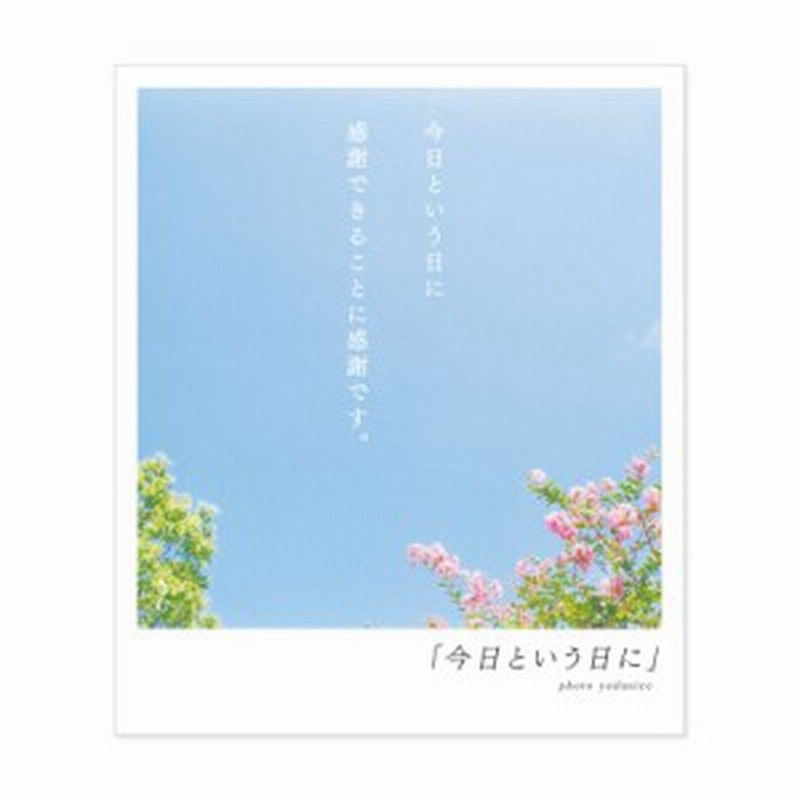 詩人きむ 言葉の花束ポストカード 今日という日に 名言 格言 詩人 言葉 ことば 夢 勇気 元気 卒業 旅立ち 感謝 教員 先生 メッセージ 通販 Lineポイント最大1 0 Get Lineショッピング