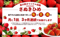 東かがわ市真っ赤な「いちご」の定期便（A）