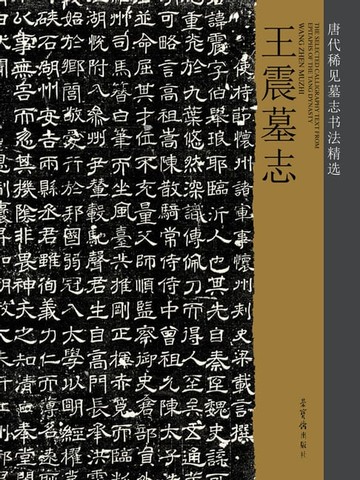 【電子書】唐代稀见墓志书法精选·王震墓志
