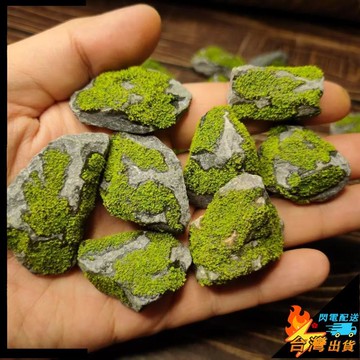 【台灣出貨】魚缸造景石頭 爬寵 魚缸 水族 仿真苔蘚造景石 森系 素材 微景裝飾 手工擺件