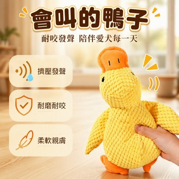 【🚚台灣出貨】 寵物發聲毛絨玩具 耐咬磨牙小黃鴨 小中型犬自嗨解悶 互動訓練球繩 狗狗居家娛樂用品