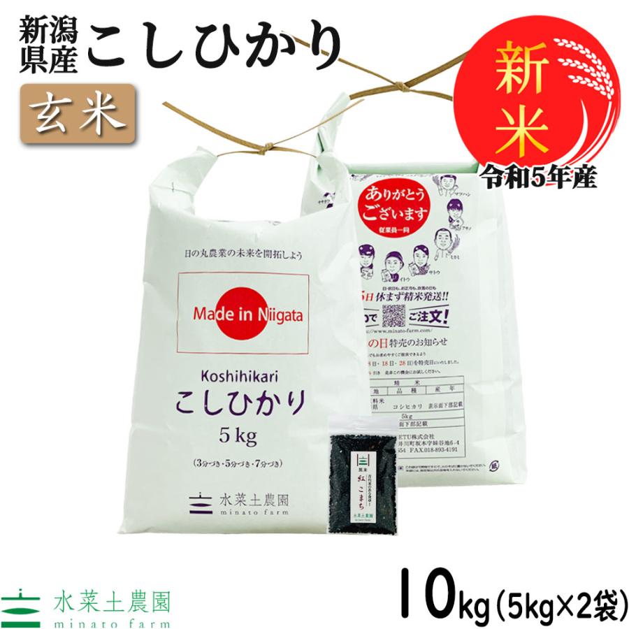 新米 米 お米 米10kg （5kg×2袋） 玄米 こしひかり 令和5年産 新潟県産 古代米お試し袋付き