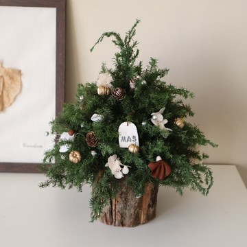 Ins 聖誕樹 聖誕花圈 聖誕禮物 交換禮物 聖誕佈置