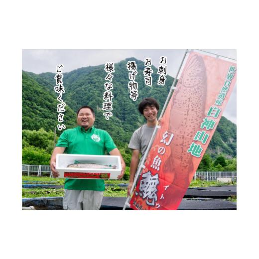 ふるさと納税 青森県 鰺ヶ沢町 鮮魚でお届け！幻の魚「イトウ」1尾(約1kg) ※配送地域限定