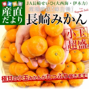 長崎県より産地直送 JA長崎せいひ 長崎みかん 小玉 SからSSサイズ 5キロ 蜜柑 ミカン 送料無料　御歳暮 お歳暮