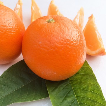 【水果達人】大顆鮮甜多汁無籽肚臍丁禮盒10斤1箱(210g/顆)