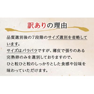 ふるさと納税 石巻市 たらこ1.4kg(700g×2)・無着色辛子明太子500g 合計1.9kg